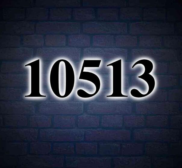 House Number 10513